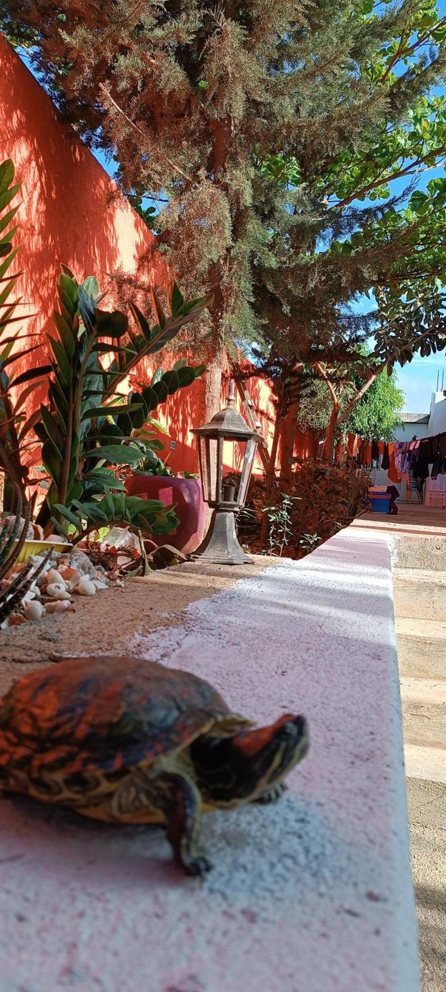 Vila Residencia Aguia Praia Exteriér fotografie